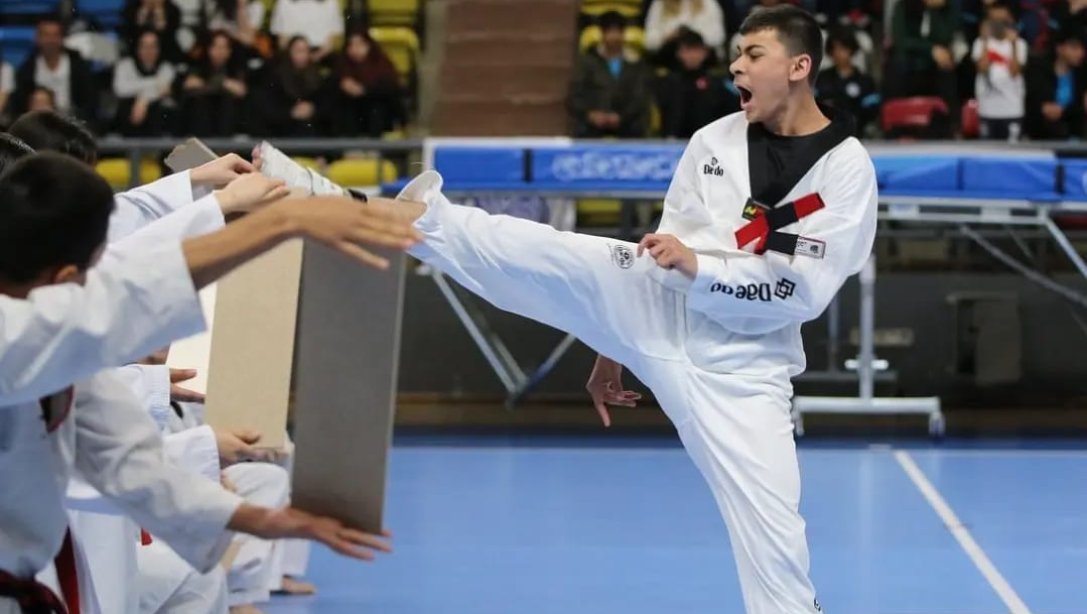 Öğrencimiz Yıldızlar Taekwondo Müsabakalarında Türkiye Şampiyonu Oldu